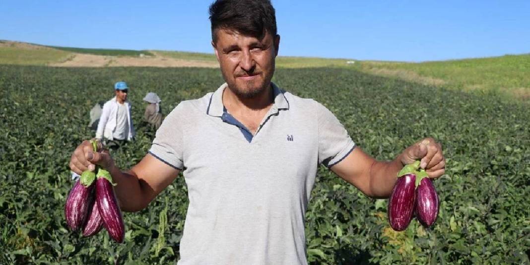 Mor-beyaz çizgisi, çekirdeksiz yapısı, coğrafi işareti… Bu tür diğerlerinden çok farklı: Oradaki herkesin geçim kaynağı 6